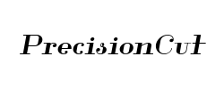 PrecisionCut - logo
